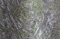 Erriottwood fibreglass roof work